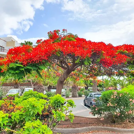 Terraza Sea & Sun 滨海帕尔姆