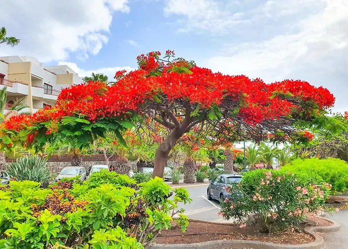 Terraza Sea & Sun פאלם-מאר